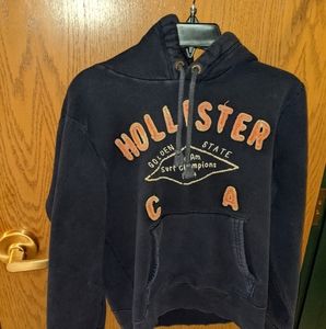 Hollister hoodie Medium Sweatshirt blue orange Y2K